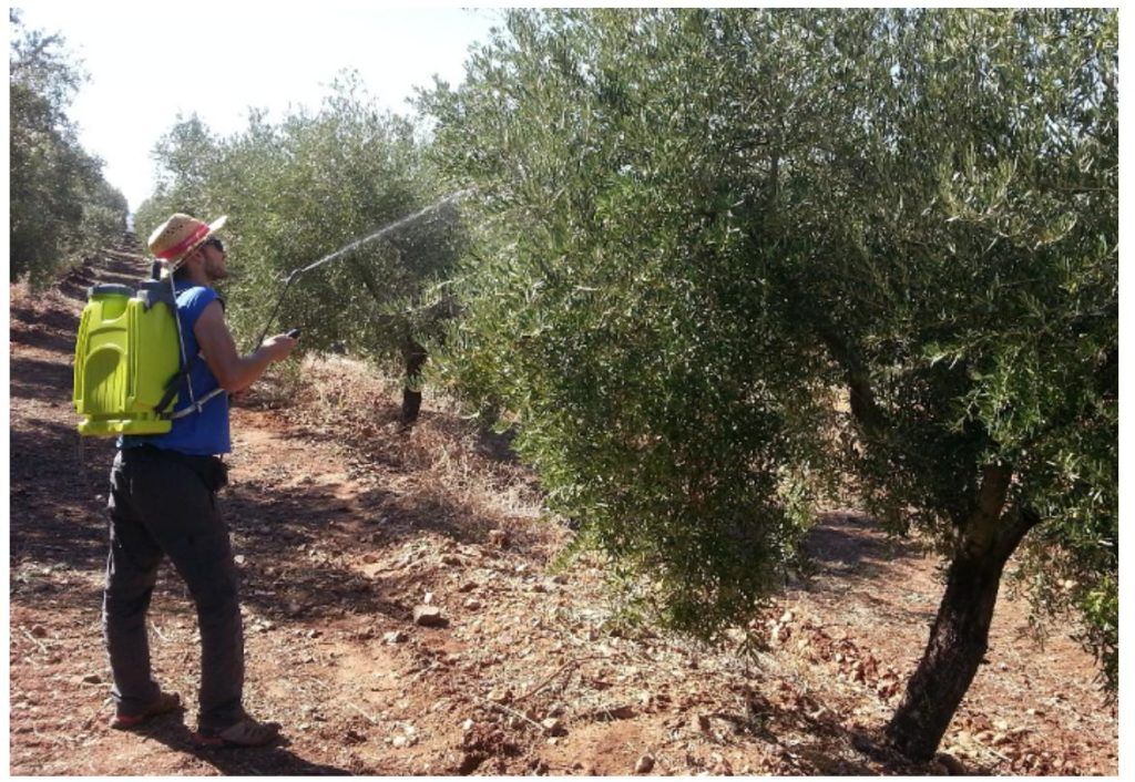 proyecto oilox polifenoles octubre 2020 (1)