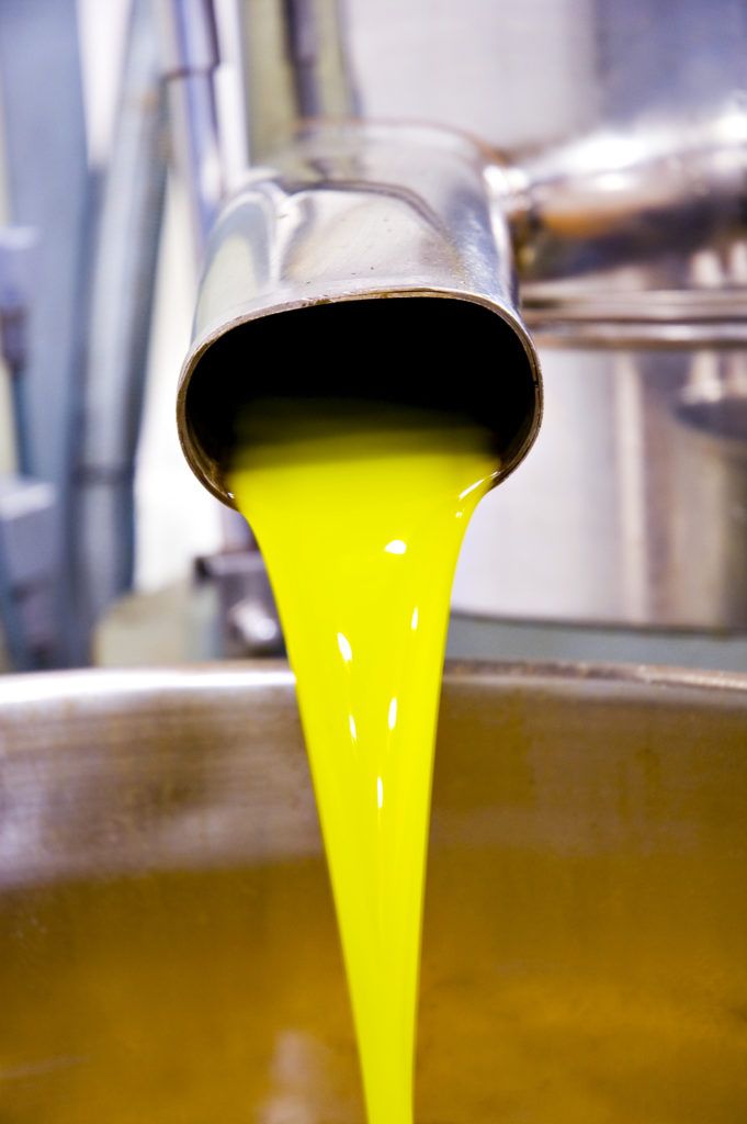 Salida Aceite Centrifugadora Vertical